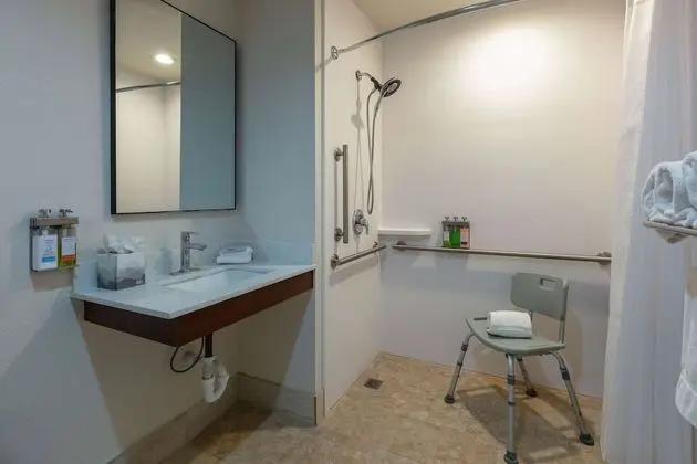 Oda, 1 En Büyük (King) Boy Yatak, Engellilere Uygun, Sigara İçilmez (Roll-In Shower)