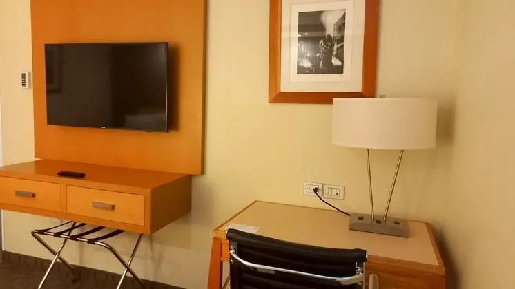 Standard Oda, 1 En Büyük (King) Boy Yatak, Havuz Manzaralı