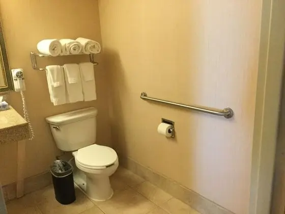 Standard Oda, 2 Çift Kişilik Yatak, Engellilere Uygun (Mobility, Access Tub)