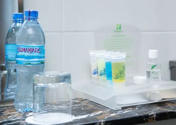 Standard Oda, 1 Çift Kişilik Yatak (Minibar)