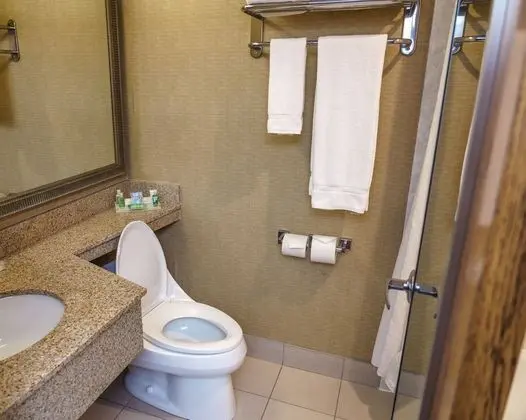 Premium Oda, 2 Büyük (Queen) Boy Yatak, Şehir Manzaralı