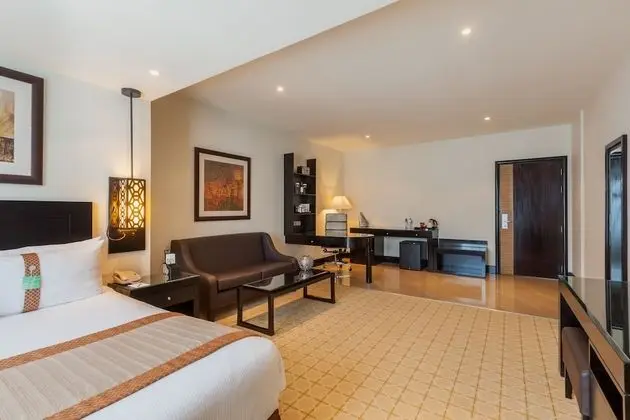 Premium Oda, 1 En Büyük (King) Boy Yatak, Şehir Manzaralı