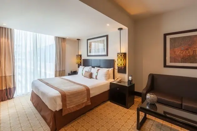 Premium Oda, 1 En Büyük (King) Boy Yatak, Şehir Manzaralı