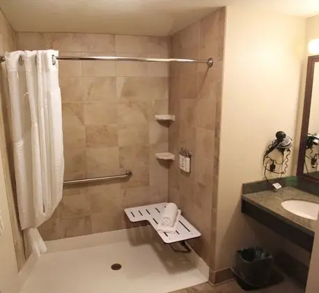 Süit, 2 Büyük (Queen) Boy Yatak, Engellilere Uygun (Comms Accessible. Roll-In Shower)
