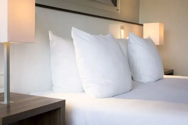 Standard Oda, 1 En Büyük (King) Boy Yatak