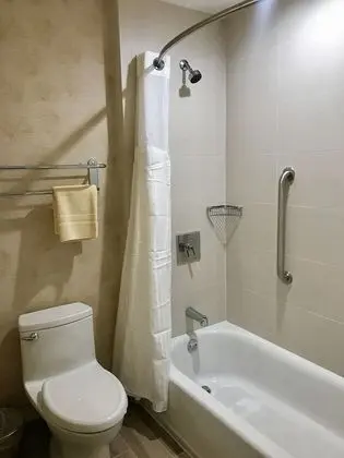 Standard Oda, 2 Büyük (Queen) Boy Yatak, Engellilere Uygun (Mobility, Accessible Tub)