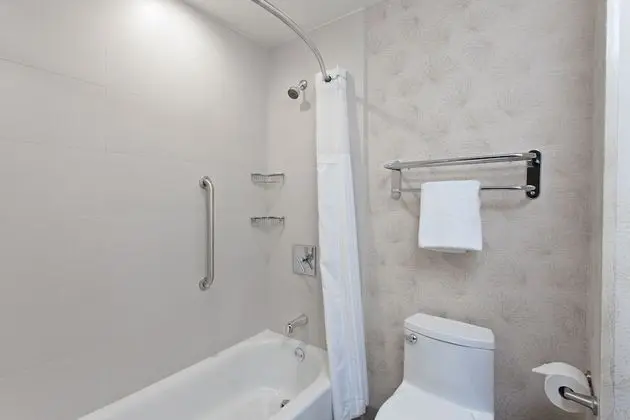 Standard Oda, 2 Büyük (Queen) Boy Yatak, Engellilere Uygun (Mobility, Accessible Tub)