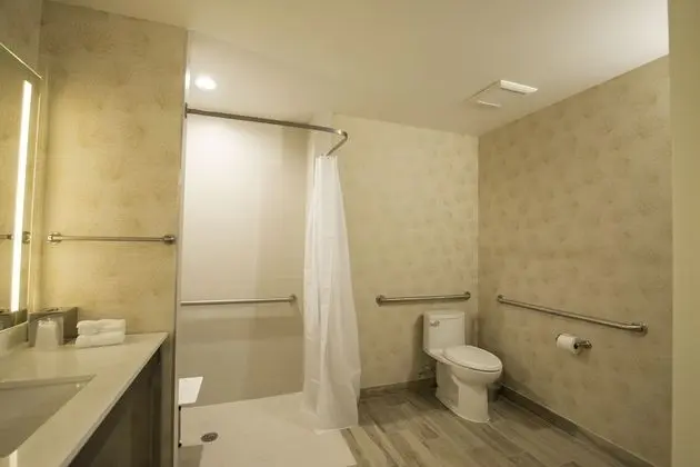 Standard Oda, 2 Büyük (Queen) Boy Yatak, Engellilere Uygun (Mobility, Roll-In Shower)