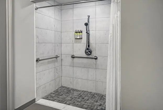 Süit, 1 En Büyük (King) Boy Yatak, Engellilere Uygun (Communication, Roll-In Shower)