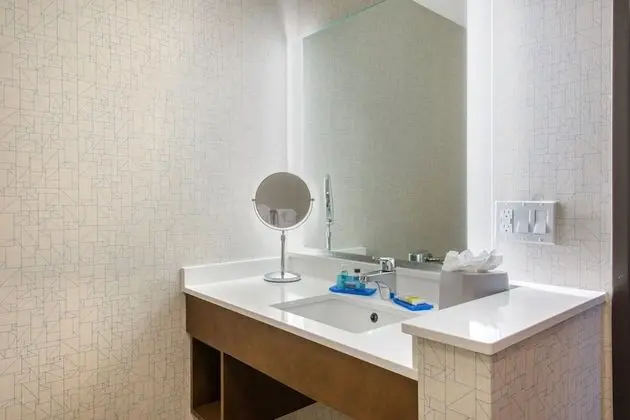 Standard Oda, 1 En Büyük (King) Boy Yatak, Engellilere Uygun (Mobility, Roll-In Shower)