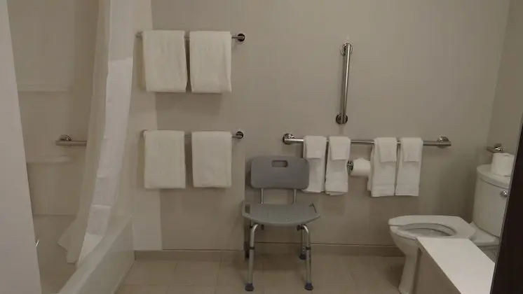 Süit, 2 Büyük (Queen) Boy Yatak, Engellilere Uygun (Mobility, Accessible Tub)