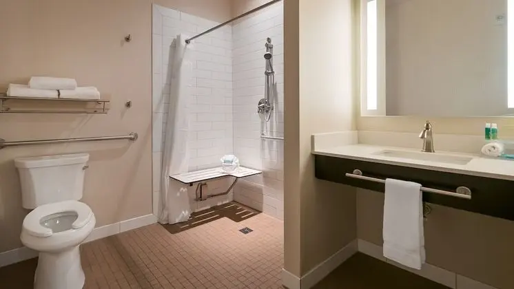 Standard Oda, 1 Büyük (Queen) Boy Yatak, Engellilere Uygun (Roll-In Shower)