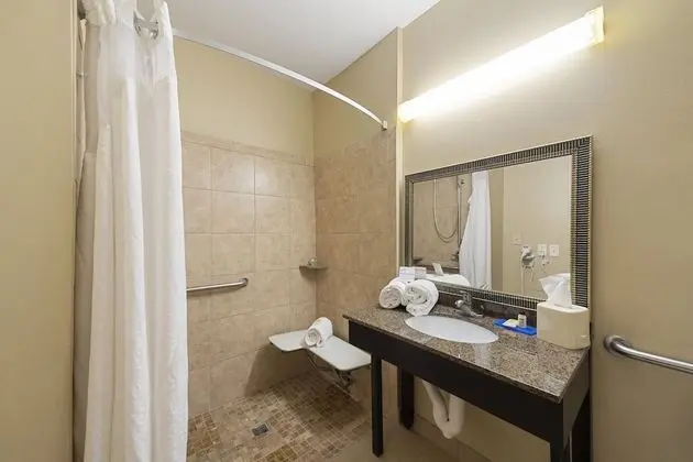 Standard Oda, 1 En Büyük (King) Boy Yatak, Engellilere Uygun (Roll-In Shower)