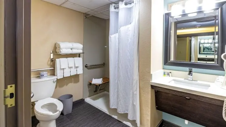 Süit, 1 En Büyük (King) Boy Yatak, Engellilere Uygun (Roll-In Shower)