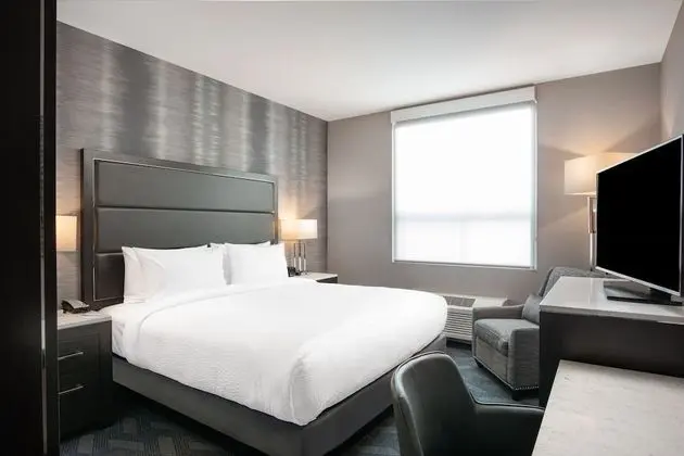 Suite, 1 King Bed