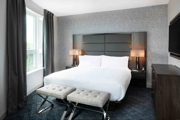 Suite, 1 King Bed