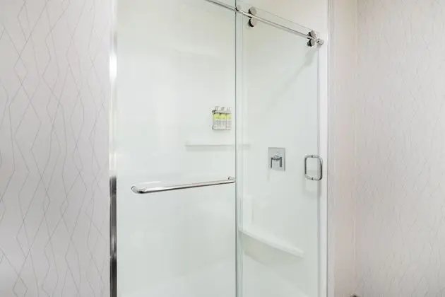 Suite, 1 King Bed