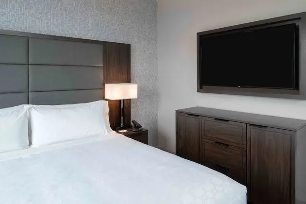 Suite, 1 King Bed