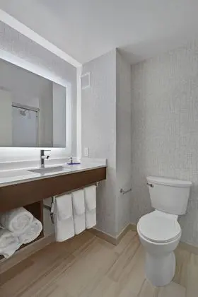 Standard Oda, 1 En Büyük (King) Boy Yatak, Engellilere Uygun (Roll-In Shower)