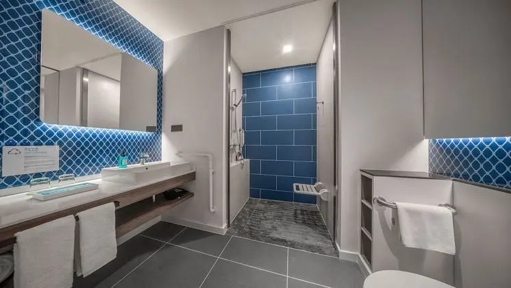 Oda, 1 En Büyük (King) Boy Yatak, Engellilere Uygun, Sigara İçilebilir (Mobility, Roll-In Shower)