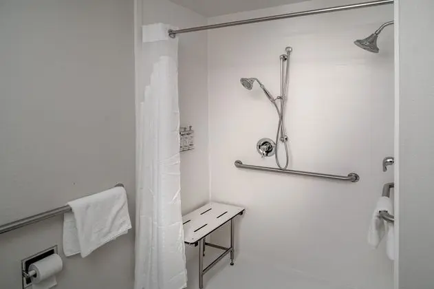 Standard Oda, 2 Büyük (Queen) Boy Yatak, Engellilere Uygun (Roll-In Shower)