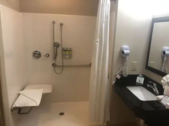 Standard Oda, 1 En Büyük (King) Boy Yatak, Engellilere Uygun (Mobility, Roll-In Shower)