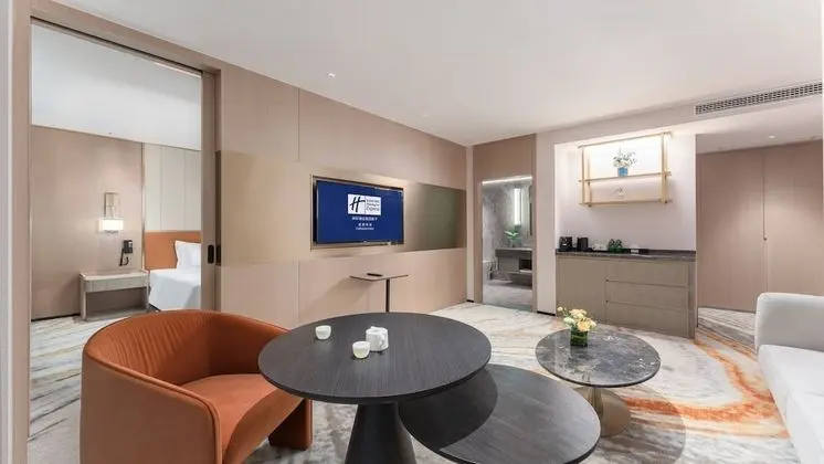 Süit, 1 Yatak Odası, Şehir Manzaralı (Living Area)