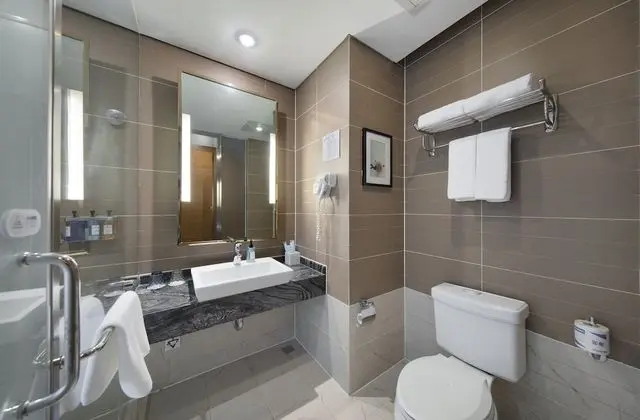 Standard Oda, 1 En Büyük (King) Boy Yatak, Şehir Manzaralı