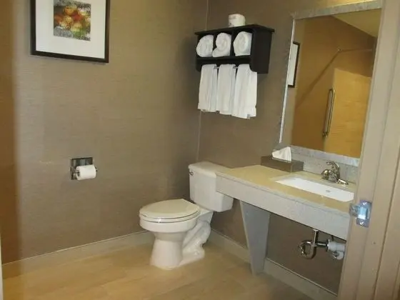 Süit, 1 Tek Kişilik Yatak, Engellilere Uygun, Sigara İçilmez (Hearing, Accessible Tub)