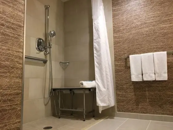 Standard Oda, 2 Büyük (Queen) Boy Yatak, Engellilere Uygun (Mobility, Roll-In Shower)