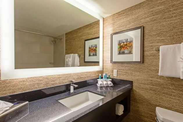 Standard Oda, 2 Büyük (Queen) Boy Yatak, Engellilere Uygun (Mobility, Roll-In Shower)