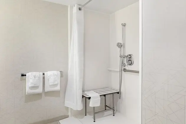 Standard Oda, 2 Büyük (Queen) Boy Yatak, Engellilere Uygun (Mobility, Roll-In Shower)
