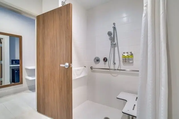 Standard Oda, 1 En Büyük (King) Boy Yatak, Engellilere Uygun (Communications, Roll-In Shower)