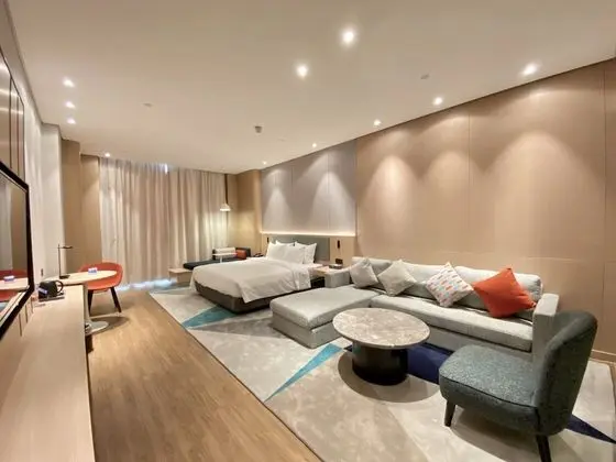 Standard Oda, 1 En Büyük (King) Boy Yatak, Şehir Manzaralı (Extra Space)