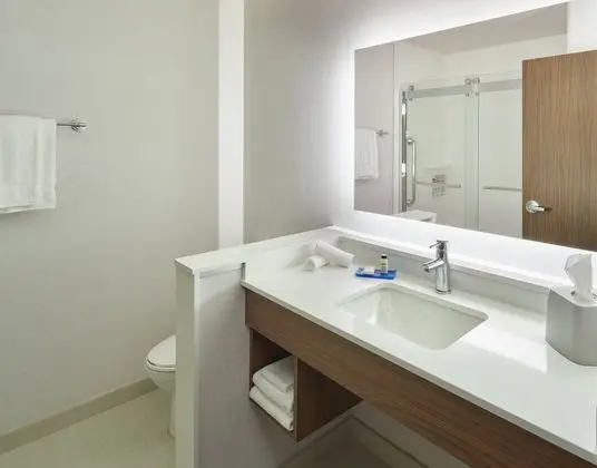 Süit, 1 En Büyük (King) Boy Yatak (Additional Living Area)