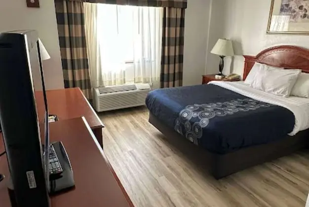 Deluxe Oda, 1 En Büyük (King) Boy Yatak, Sigara İçilmez, Sıcak Su Küveti