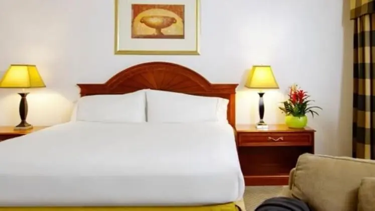 Deluxe Oda, 1 En Büyük (King) Boy Yatak, Sigara İçilmez, Sıcak Su Küveti