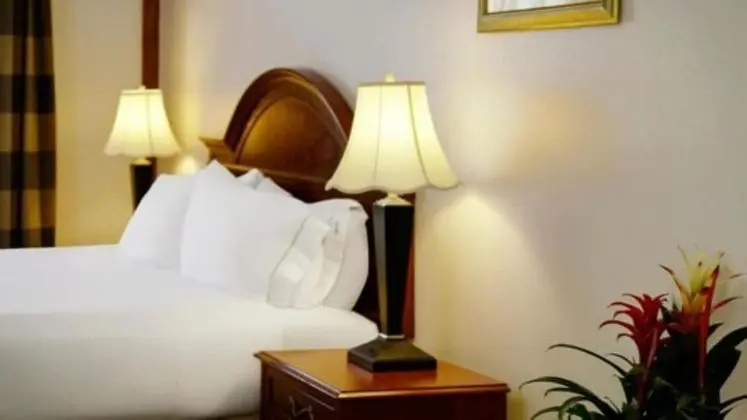Oda, 1 Büyük (Queen) Boy Yatak, Engellilere Uygun, Sigara İçilmez (Mobility, Bathtub)