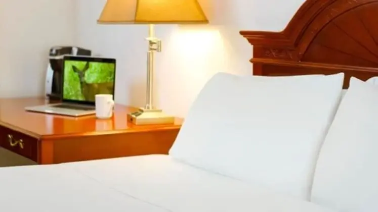 Oda, 1 Büyük (Queen) Boy Yatak, Engellilere Uygun, Sigara İçilmez (Mobility, Bathtub)