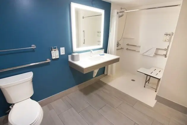 Süit, 1 En Büyük (King) Boy Yatak, Engellilere Uygun (Mobility Roll-In Shower)