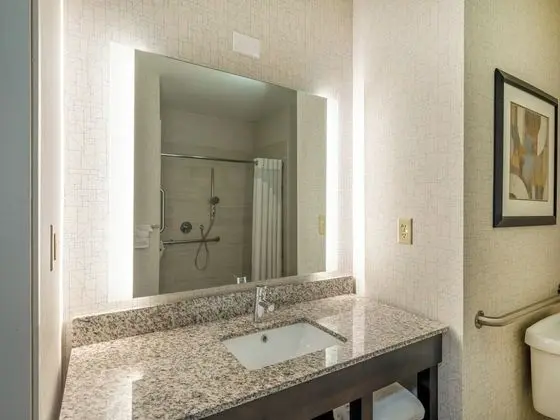 Oda, 1 En Büyük (King) Boy Yatak, Engellilere Uygun (Roll-In Shower)