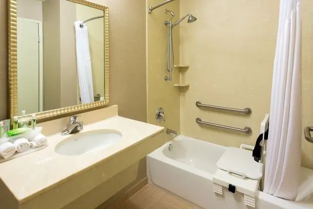 Standard Oda, 1 En Büyük (King) Boy Yatak, Engellilere Uygun (Communication, Accessible Tub)