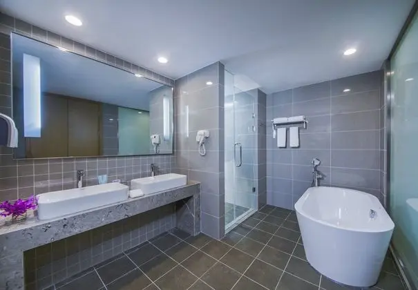 Süit, 1 En Büyük (King) Boy Yatak (Additional Living Area)