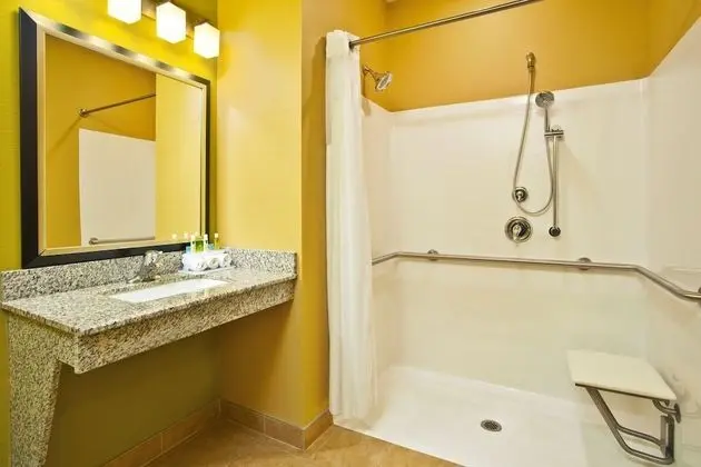 Standard Oda, 1 En Büyük (King) Boy Yatak, Engellilere Uygun (Mobility, Roll-In Shower)