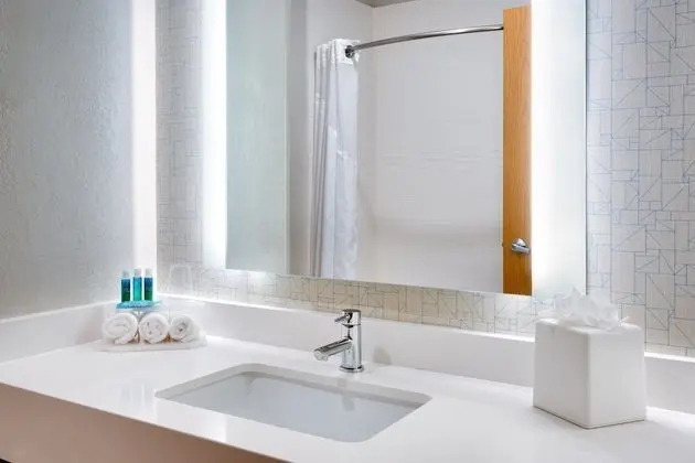 Standard Oda, 1 En Büyük (King) Boy Yatak, Engellilere Uygun (Hearing, Roll-In Shower)