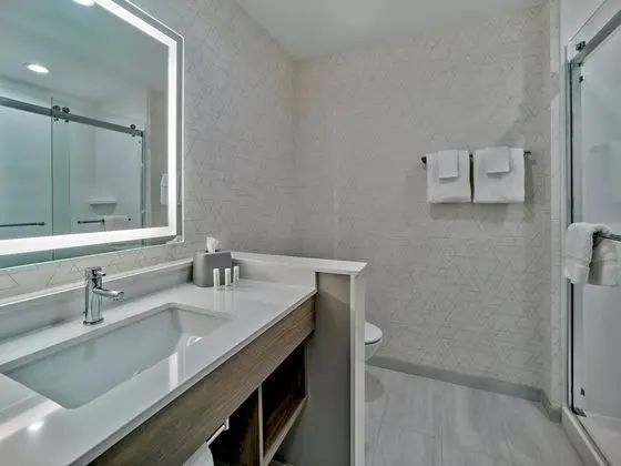 Süit, 2 Büyük (Queen) Boy Yatak, Engellilere Uygun (Mobility, Roll-In Shower)