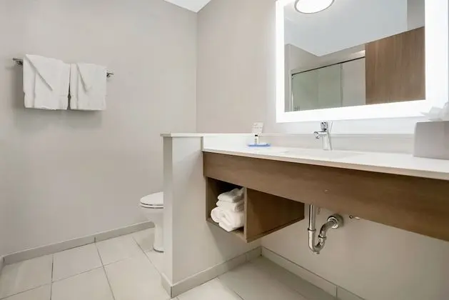Standard Oda, 1 En Büyük (King) Boy Yatak, Engellilere Uygun (Hearing, Roll-In Shower)