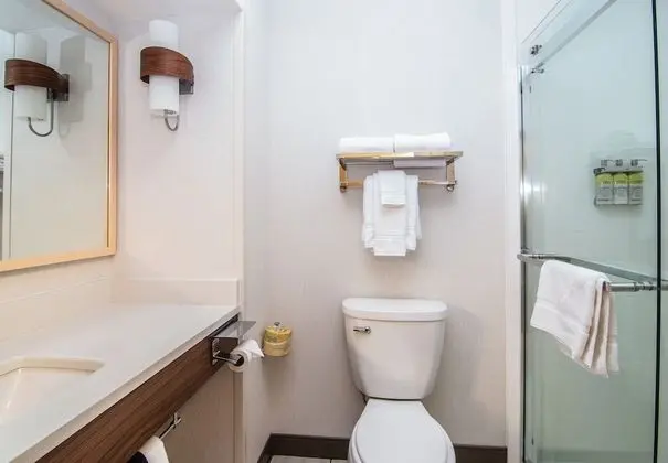 Standard Oda, 1 En Büyük (King) Boy Yatak, Balkon (Walk-In Shower)
