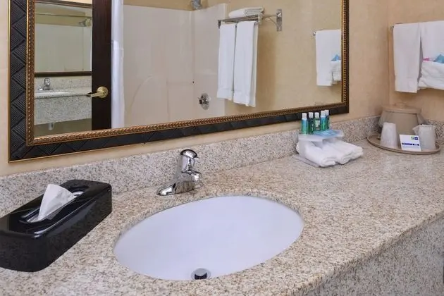 Standard Oda, 1 En Büyük (King) Boy Yatak, Engellilere Uygun (Mobility, Accessible Tub)