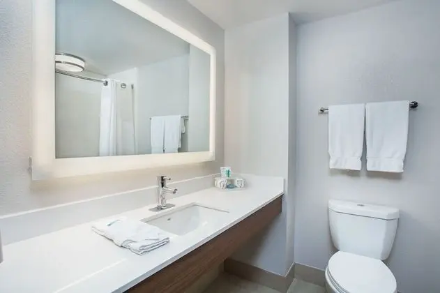 Süit, Birden Çok Yatak, Engellilere Uygun (Accessible Tub)